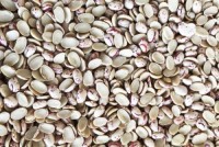 Wholesale Cranberry Split Beans from Brazil with good quality at the cheapest price in market