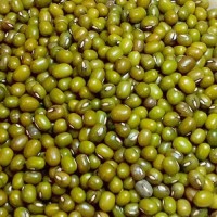 Wholesale Green Lentils  from Ethiopia with good quality at the cheapest price in market