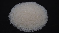 Wholesale Fragrant Rice SRO with good quality Directly from Mill in Cambodia at the cheapest price in market