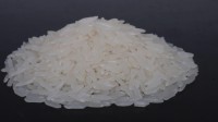 Wholesale Premium Jasmine Rice Direct from Mill in Cambodia at the cheapest price in market