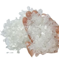 Recycled PET Flakes | Cold & Hot Washed PET Bottle Scrap | Transparent, Food-Grade & Ready for Extrusion