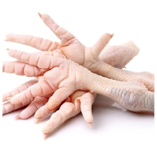 Wholesale Fresh Premium Grade A Frozen Big Size Thick Whole Chicken from Brazil to Buyers in Hong Kong and global
